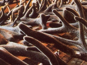 �����˲��˳�¹��