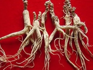 ���˲λᵼ���и�������