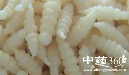 部分中药会伤害着你的肝