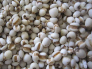 ޲�׵�Ӫ����ֵ�빦Ч