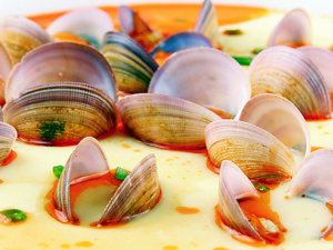 ���۵�Ӫ����ֵ�빦Ч