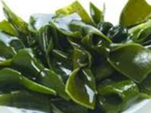 ������Ӫ����ֵ�빦Ч