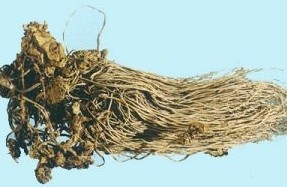 ��ϸ���Ĺ�Ч����