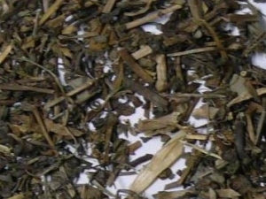 ����ѿ�Ĺ�Ч����