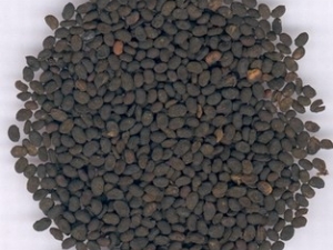 ����֬�Ĺ�Ч����