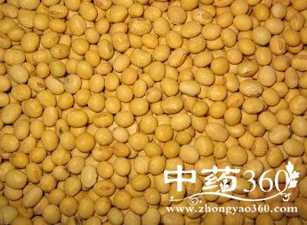 黄大豆的功效作用