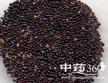 中草药茶饮 需慎用