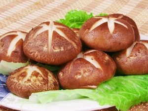 �㹽��Ӫ����ֵ�빦Ч