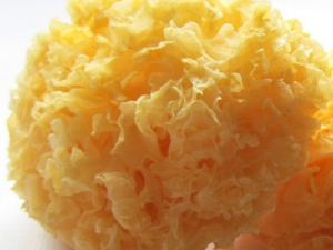 ��ľ����Ӫ����ֵ�빦Ч