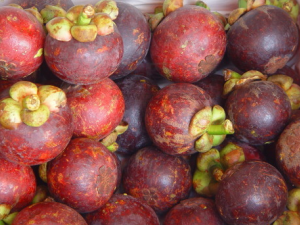 ɽ���Ӫ����ֵ�빦Ч