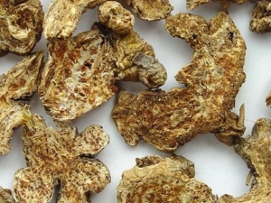 �����Ĺ�Ч����