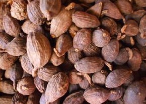 �ݶ�ޢ�Ĺ�Ч����