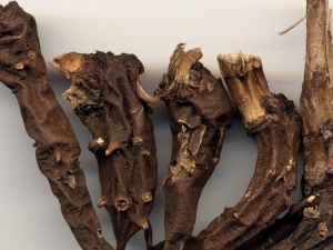 ���ڵĹ�Ч����