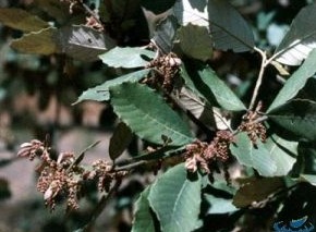 ���ݵĹ�Ч����