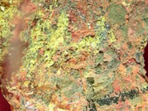 �Ʒ��Ĺ�Ч����