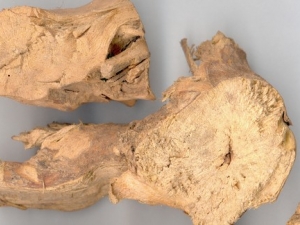 ��ɽ�Ĺ�Ч����