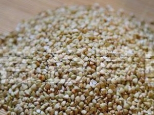 �����ӵĹ�Ч����