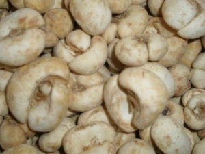 ����ĸ�Ĺ�Ч����