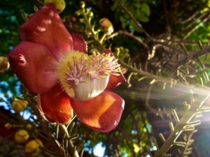 ���������Ĺ�Ч����