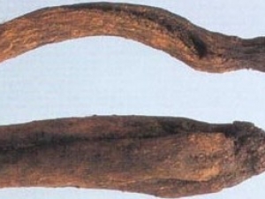 ��ľ��Ĺ�Ч����