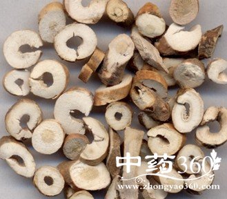 椿皮的功效作用