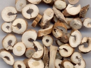 ��Ƥ�Ĺ�Ч����