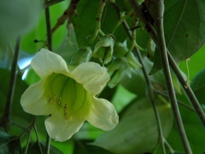 �˶����Ĺ�Ч����