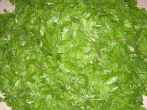 ����ӵĹ�Ч����