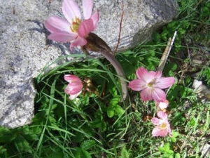 ����ߵĹ�Ч����