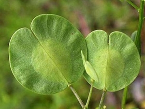 ݾ�q�Ĺ�Ч����