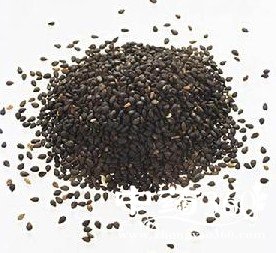 菥蓂子的功效作用