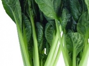 ݿ�˵Ĺ�Ч����