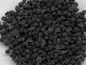 ����к����Ľ���