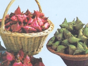 ���θ�ð��ҽ������������