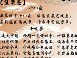 �м�����ҩ���ܻ����