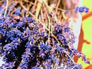 ޹�²ݵĹ�Ч������