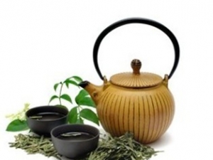 ��ҩ�������ɷ�ֹ���׷���