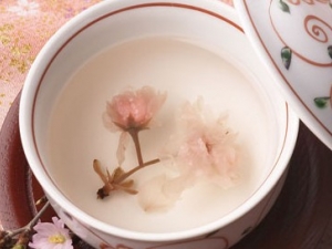 ҩ�������ز����¡�������