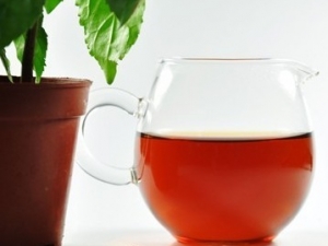 �������ļ���������