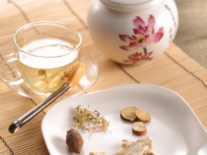 �������� �ļ��б�