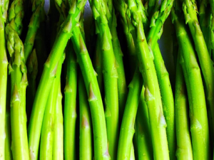 «���Ӫ����ֵ�빦Ч