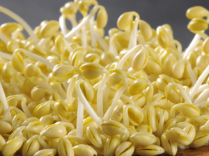 ��ѿ��Ӫ����ֵ�빦Ч