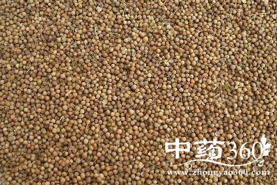 大白药的功效作用