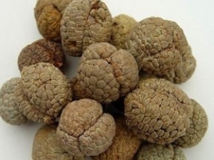 ��ݿܵĹ�Ч����