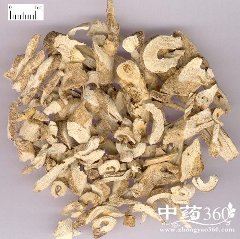 白鲜皮的药用价值与功效