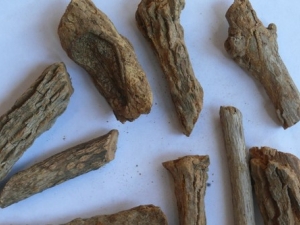 ���ҩ���Ĺ�Ч����