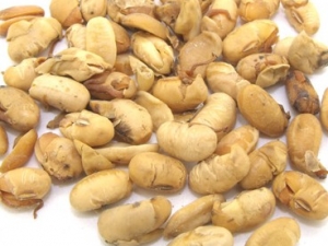 �󶹻ƾ��Ĺ�Ч����