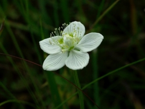 ÷���ݵĹ�Ч����