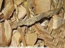 ��ͩ���Ĺ�Ч����