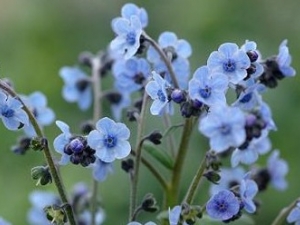 �����ݸ��Ĺ�Ч����